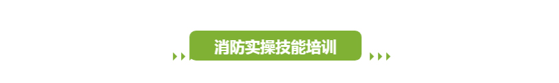 白小姐透特2024答案